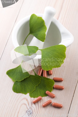 Image of Ginkgo biloba leaves in mortar and pills