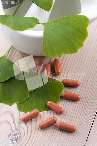 Image of Ginkgo biloba leaves in mortar and pills