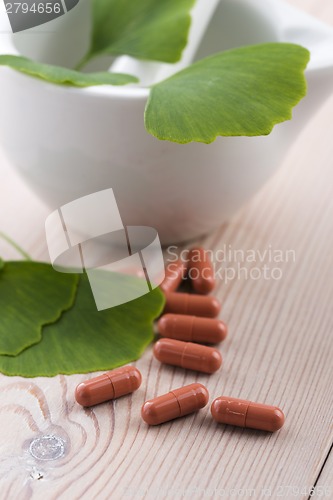 Image of Ginkgo biloba leaves in mortar and pills