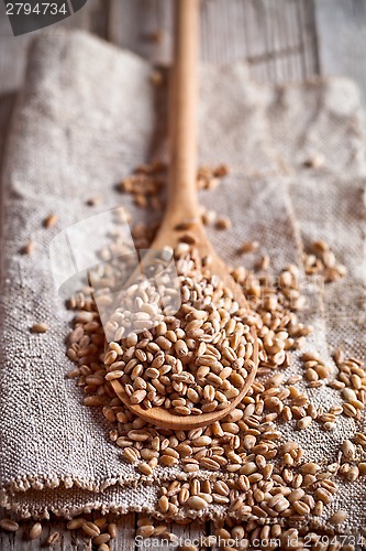 Image of wheat grain