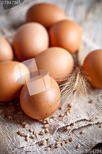 Image of  fresh brown eggs, wheat seads and ears 