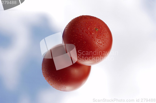 Image of Tomato with waterdrops