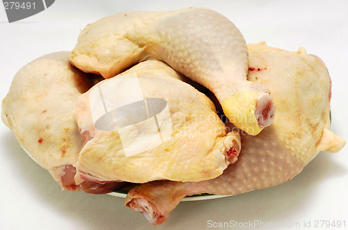 Image of Raw chicken meat