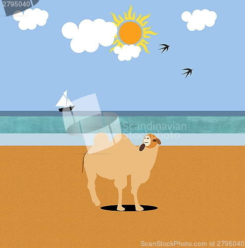 Image of Camel on the beach 