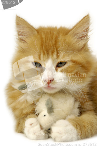 Image of Kitten with mouse