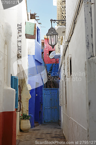 Image of Colorful backyard in Assila, Morocco