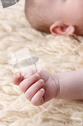 Image of Hand of a small baby lying on a blanket