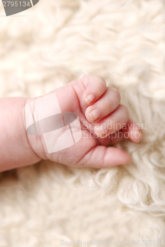 Image of Hand of a small baby lying on a blanket