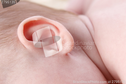 Image of Ear of a small baby