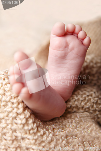 Image of Baby feet