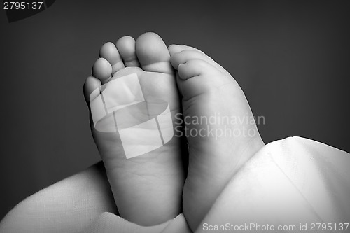 Image of Baby feet in black and white
