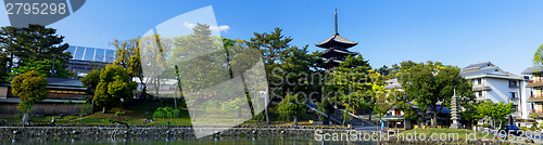 Image of Nara, Japan at Sarusawa Pond. 