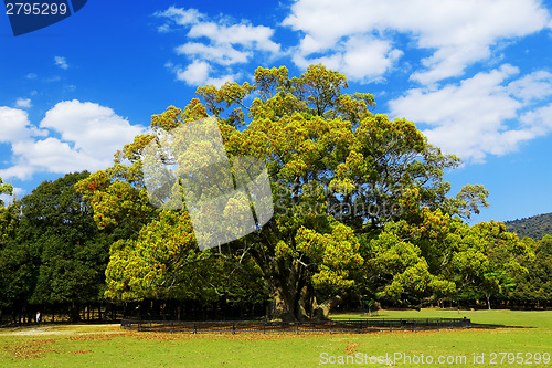 Image of Green planet , Earth 