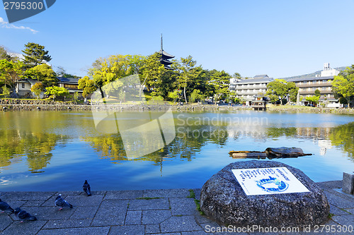 Image of Nara, Japan at Sarusawa Pond. 