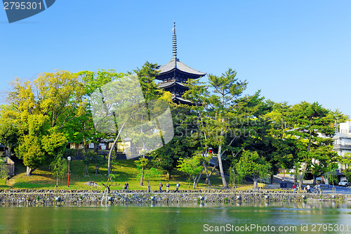 Image of Nara, Japan at Sarusawa Pond. 