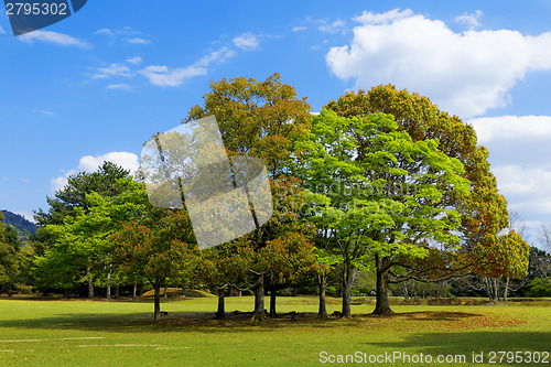 Image of Green planet , Earth 