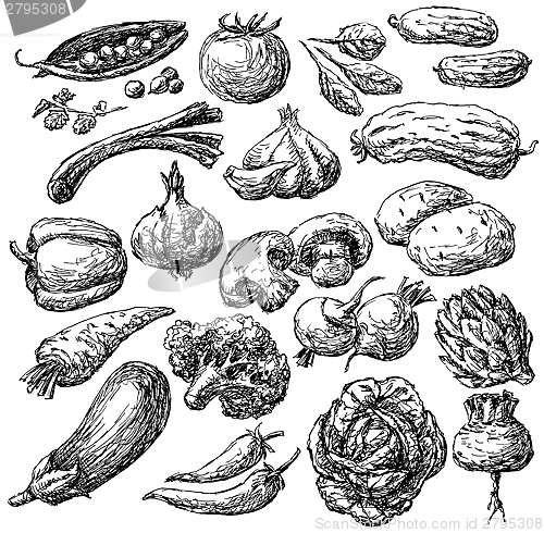 Image of vegetables