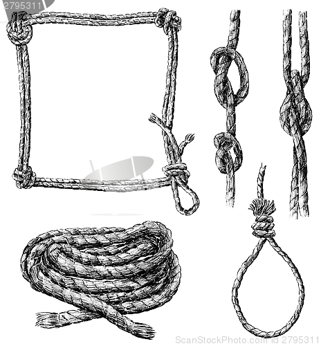 Image of ropes in various forms