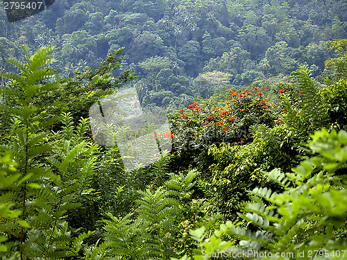 Image of Beautiful landscape in the mountains