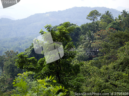 Image of Beautiful landscape in the mountains