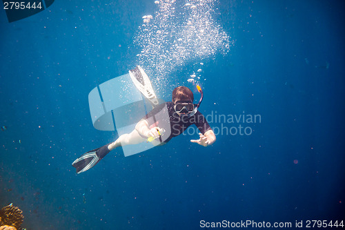 Image of Snorkeler