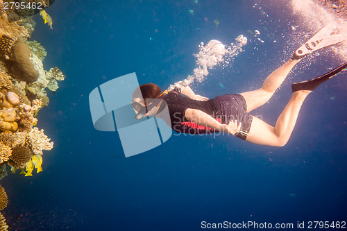 Image of Snorkeler