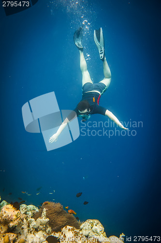 Image of Snorkeler