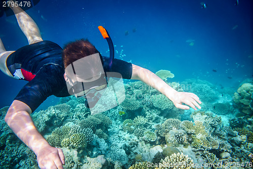 Image of Snorkeler