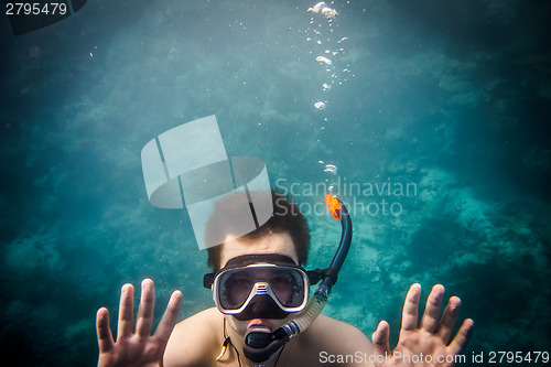 Image of Snorkeler