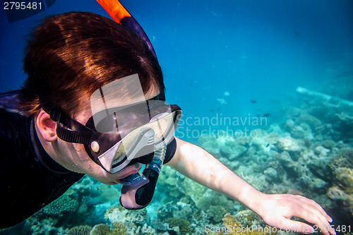 Image of Snorkeler