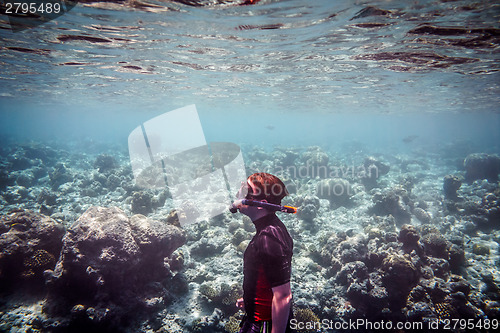 Image of Snorkeler