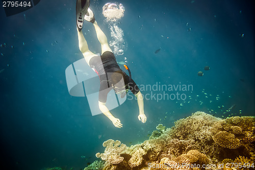 Image of Snorkeler