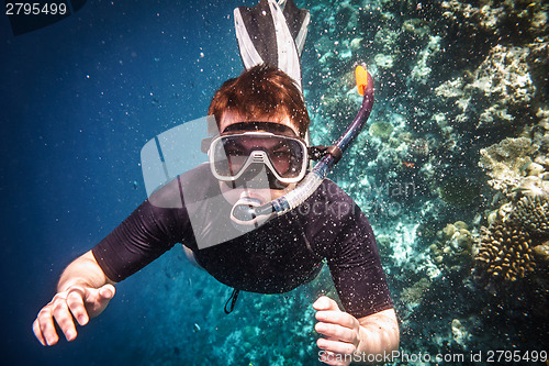 Image of Snorkeler