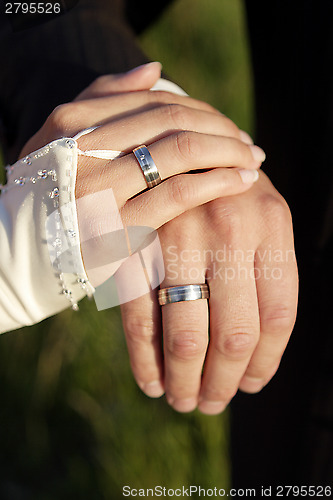 Image of Hands of a bride and groom