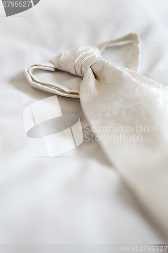 Image of White plastron of the groom