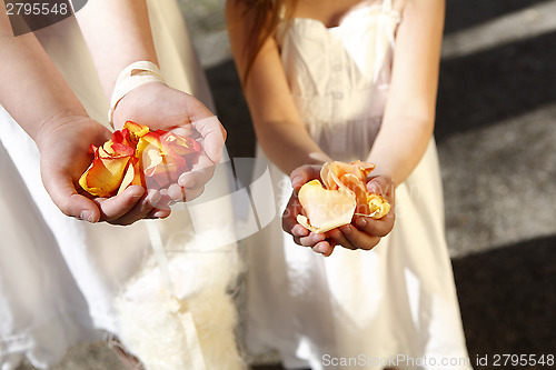 Image of Bridal bouquet