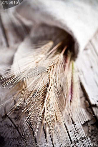 Image of wheat ears 