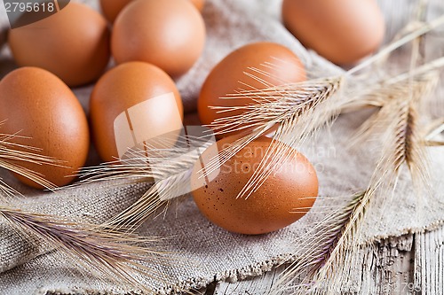 Image of  fresh brown eggs and wheat ears 