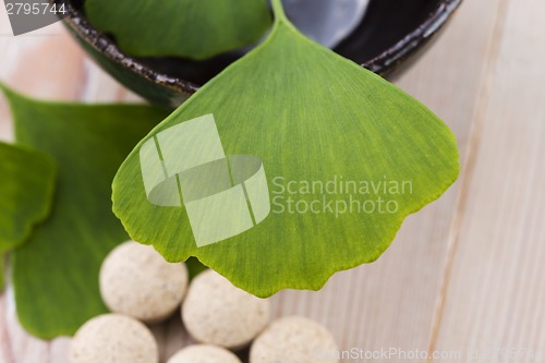 Image of Ginkgo biloba leaves in mortar and pills