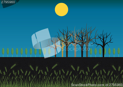 Image of Field at night 