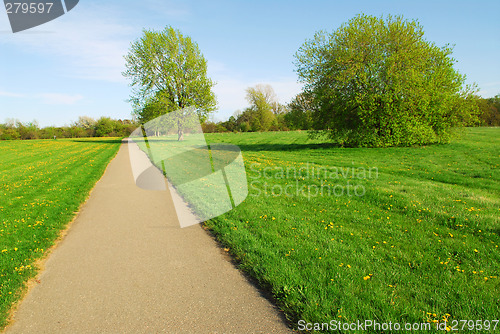 Image of Summer landscape