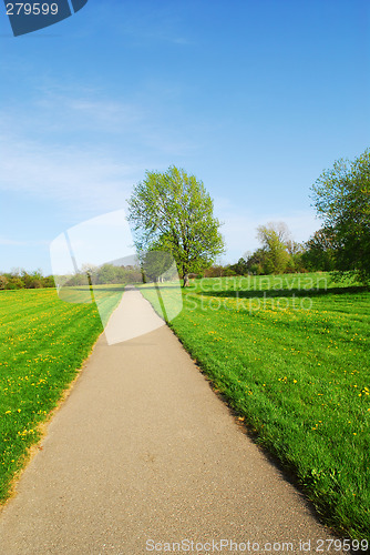 Image of Summer landscape