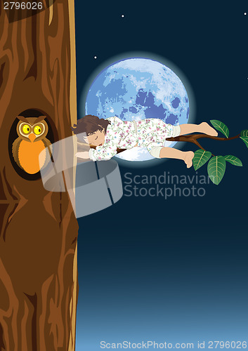 Image of Asleep on a tree 