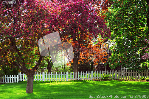 Image of Rural landscape