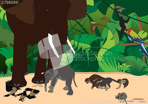 Image of First Step 