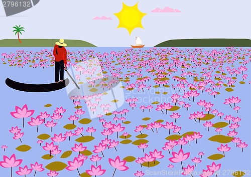 Image of lotus 