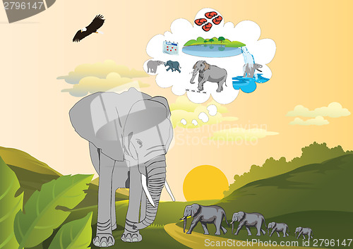 Image of Memory of an elephant 