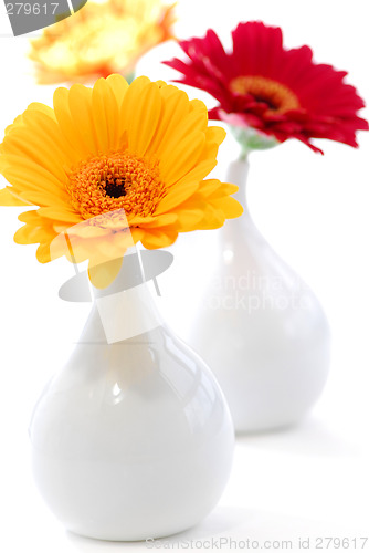 Image of Interior design vases