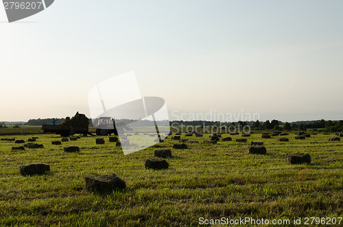 Image of workers load dried hay straw bales to tractor 