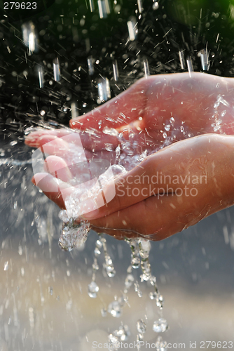Image of Hands and water